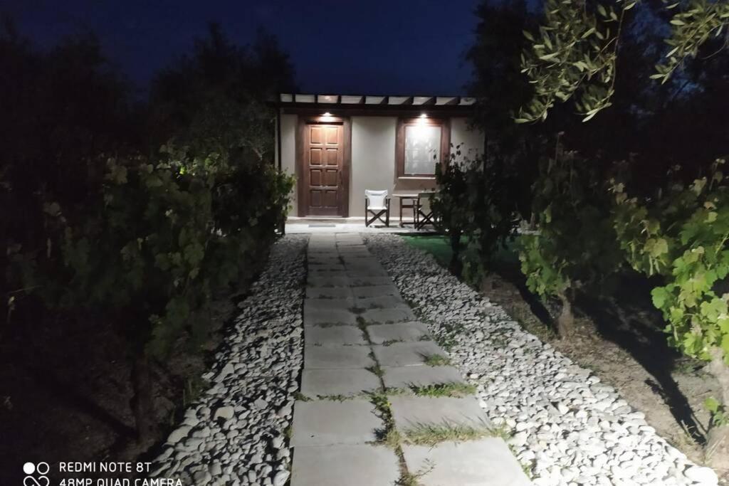 הוילה Koukounariá Raisin House מראה חיצוני תמונה